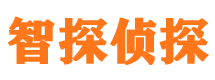 光山外遇调查取证